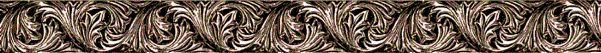 Dvdr0838.gif
