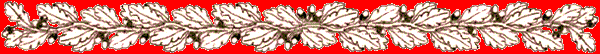 Dvdr0829.gif