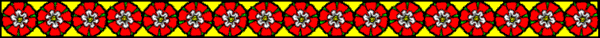 Dvdr0816.gif