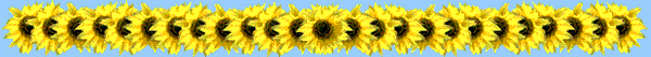 Dvdr0748.gif