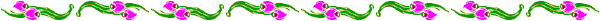Dvdr0744.gif