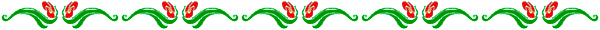 Dvdr0743.gif