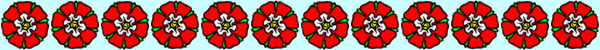 Dvdr0738.gif