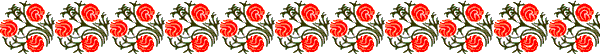 Dvdr0735.gif