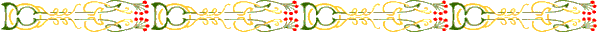 Dvdr0733.gif