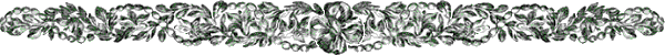 Dvdr0718.gif