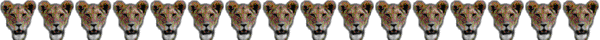 Dvdr0619.gif