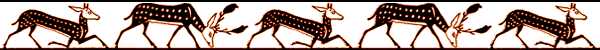 Dvdr0604.gif
