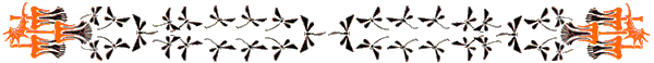 Dvdr0598.gif