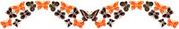 Dvdr0597.gif
