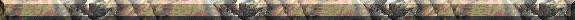 Dvdr0502.gif