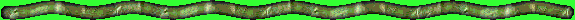 Dvdr0491.gif