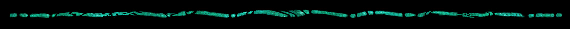 sf2d2282.gif