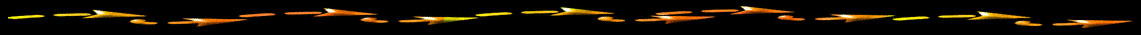 SFDV9608.gif