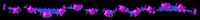 SFDV6838.gif