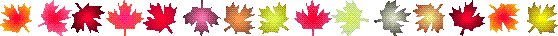 LNAFLINE.GIF