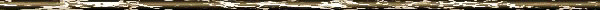 LINE41.gif