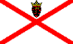 JERSEY.gif