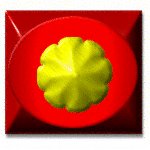 sf2i4607.gif