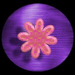 sf2i1107.gif