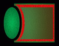 sf2s1761.gif