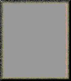 Frm00249.gif