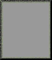 Frm00071.gif