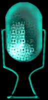 sf2i2319.gif