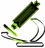 SF2I8172.gif