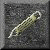 78PNCL01.gif