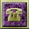 56CALL02.gif