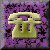 56CALL01.gif