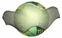 sf2b8127.gif
