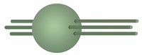 sf2b4162.gif