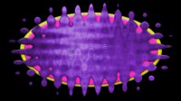 sf2b1024.gif