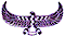 DVDR0666.GIF