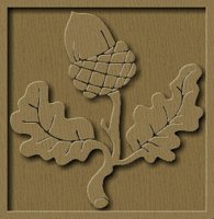 Acorn_w.gif
