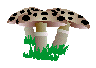 ARTOOM1.GIF