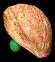 XAAB9697.gif