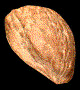 XAAB9696.gif
