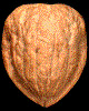 XAAB9695.gif