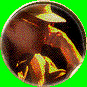 XAAB9609.gif