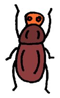 XAAB7044.gif