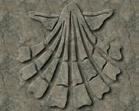 SHELL2.GIF