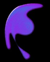 SFSH3048.gif