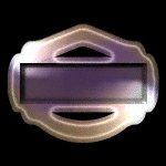 SFSH1798.gif