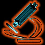 SFIC9647.gif