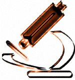 SFIC8416.gif