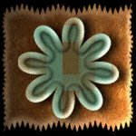 SFIC1473.gif