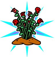 Z588.GIF